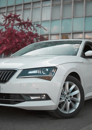Skoda Superb cena 61999 przebieg: 239000, rok produkcji 2015 z Łosice małe 781